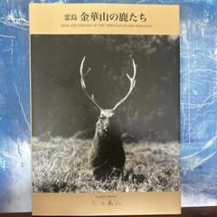 霊島金華山の鹿たち　三上義弘　KINKASAN 鹿角プロジェクト