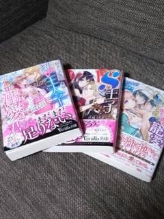 ヴァニラ文庫 ガブリエラ文庫 ３冊 まとめ売り 【ほぼ新品】小説 ティーンズラブ