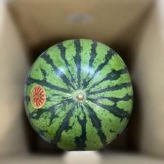 ms1千葉県産まる朝大玉スイカ良品3Lサイズ1箱2玉入り 0234千葉県産丸朝大玉スイカ良品6Lサイズ1箱1玉入り - メルカリ