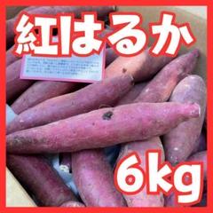 紅はるか さつまいも 6kg bのサムネイル