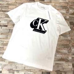 【新品】Calvin Klein カルバンクライン／デザインTシャツ カットソー