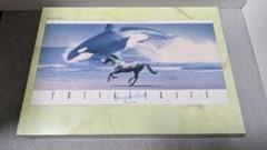 【廃番・レア商品】滝野晴夫 HARUO TAKINO 駿 1000ピース パズル