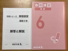 書込みなし！春期講習 小6 四谷大塚予習シリーズ　4教科セット 予習シリーズ 四谷大塚 小6 - メルカリ