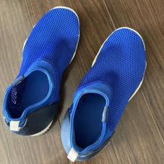 Nike スリッポンキッズメッシュシューズ 青