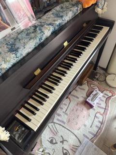 2025年最新】kawai ca99の人気アイテム - メルカリ