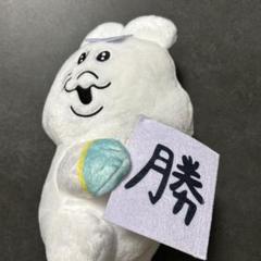 んぽちゃむ マカロン法律事務所BIGぬいぐるみ 全2種セット