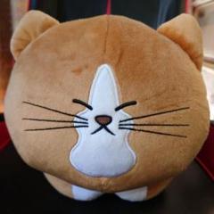 ネコ　ぬいぐるみ
