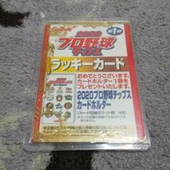 野球チップス2020年、サイン無し、