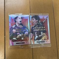Amazon.co.jp: 男子バレー 日本代表 山本智大 ミニ色紙 箔押し