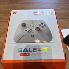 【美品】BIGBIG WON Gale Hall