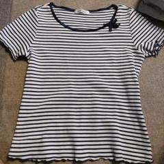ビスコンティ　半袖Tシャツ　カットソー　ストライプ　白×紺　鹿の子　M
