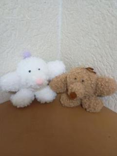 あとりえこだぬき　ごぶがゆ??　ぬかどこ　ぬいぐるみマスコット