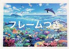 海の生物 ジグソーパズル 1000ピース38×26cm ホワイトフレームセット
