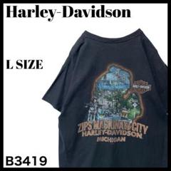 ハーレーダビッドソン マッキノーシティ 両面プリント Tシャツ スカル 風景 L