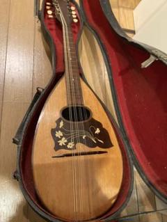 【新作からSALEアイテム等お得な商品満載】 G.BIANCHI マンドリン ハードケース ANNO1939 NO101 - 弦楽器