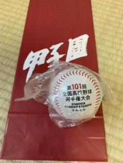☆完売品☆ 令和元年　甲子園101回大会 大会ボールのサムネイル