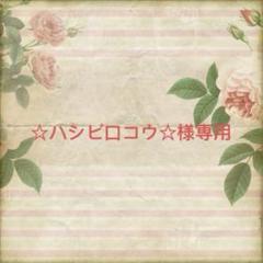 ☆ハシビ口コウ☆様確認専用ページ【取り置き中　1月3日迄】 ☆ハシビ口コウ☆様確認専用ページ【取り置き中 11月5日迄