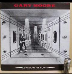 GARY MOORE/大いなる野望　アナログレコード　日本国内初プレス盤