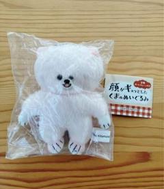 北村日乃 くま ぬいぐるみ きたむらかの クマ オレンジベージュ テディベア 北村日乃 くま ぬいぐるみ きたむらかの クマ オレンジベージュ