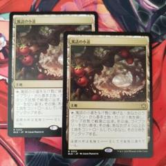 MTG 寓話の小道 寓話の小道｜カードギャラリー｜マジック：ザ・ギャザリング
