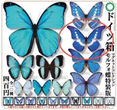 中古特殊ドイツ箱2箱セット 2025年最新】ドイツ箱マグネットコレクションの人気アイテム