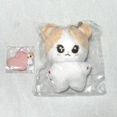 ヒスン マスター ぬいぐるみ enhypen ヒスン ぬいぐるみ 20cm 新品 マスター - メルカリ