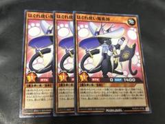 PSA10 はぐれ使い魔 ３連番 遊戯王ラッシュデュエル PSA10 はぐれ使い魔 3連番 遊戯王ラッシュデュエル