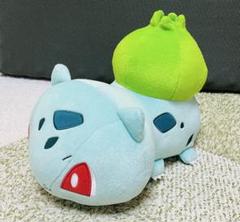 タグ付き　フシギダネのでっかいぬいぐるみ　ポケモン