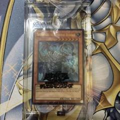 PSA10　臨海竜ゲートブリジオ 臨界竜ゲートブリジオ」の激安通販 | magi