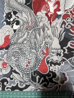 USA生地 アレキサンダーヘンリー 龍 コットン 綿