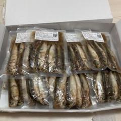 よしりんノリちゃんのお魚ごはん 25個 - メルカリ