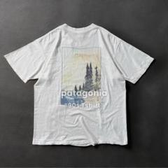 patagonia 90s USA製 Yosemite 前期 吉田博 Tシャツ