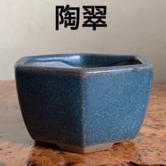 再再お値下げ☆盆栽鉢　ミニ盆栽鉢　義村秀峰　常滑焼 義村秀峰鉢② | 盆栽鉢専門店 大和魂