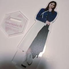 2022年最新】櫻坂46 アクリルスタンドの検索結果 - メルカリ 激安オンライン店舗 バロテッリ様専用櫻坂46 守屋麗奈 ケヤフェス ユニエア 縁日 アクリルスタンド アイドル