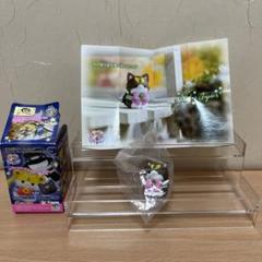 【専用出品】木野まこと7枚セット 2025年最新】キャラクター名：木野まこと/セーラージュピター