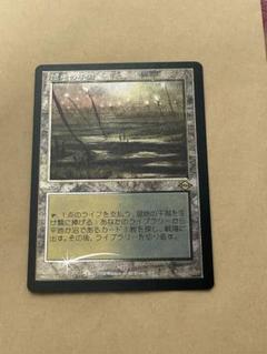 MTG 湿地の干潟 ロシア語foil 248)《湿地の干潟/Marsh Flats》[MH2] 土地R | 日本最大級 MTG