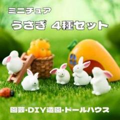 ミニチュア うさぎ 4種セット