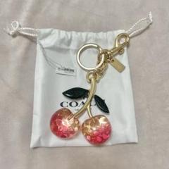 2025年最新】coach チェリーの人気アイテム - メルカリ