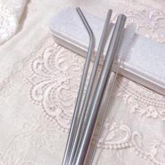 地球に優しいステンレス ストロー セット エコ サスティナブル