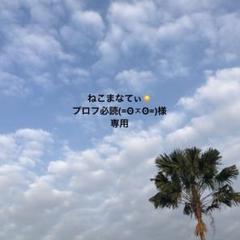 ニャーミー NYAMY WASHINO vintage 1882 モンチッチ ニャーミー NYAMY WASHINO vintage 1882 モンチッチ - メルカリ