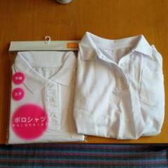 ポロシャツ半袖160cm女子用