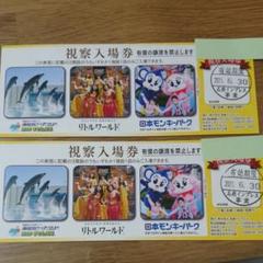 日本モンキーパークの中古 未使用品を探そう メルカリ