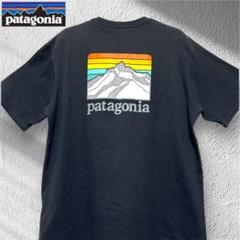 patagonia パタゴニア　ポケット Tシャツ 両面プリント