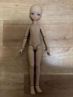2025年最新】mdd ボディの人気アイテム - メルカリ