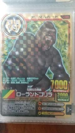 アニマルカイザー 金レア ローランドゴリラ m59970104315_1.jpg?1692779995