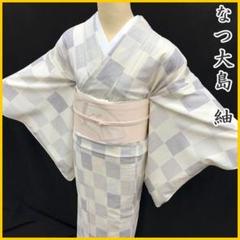 2025年最新】美品 逸品 大島紬の人気アイテム - メルカリ