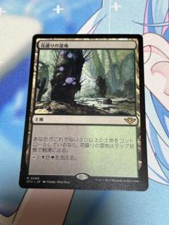 mtg 花盛りの湿地　foil 4枚 266)《花盛りの湿地/Blooming Marsh》[OTJ] 土地R | 日本最大級