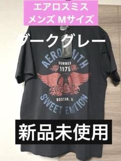 【新品】BOSTON ボストン 2014年ジャパンツアー　バンＴバンドＴシャツ BOSTON ボストン 2014年ジャパンツアー バンTバンドTシャツ