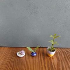植物3点　24.3-16　ミニチュア雑貨