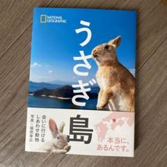 うさぎ島 会いに行けるしあわせ動物